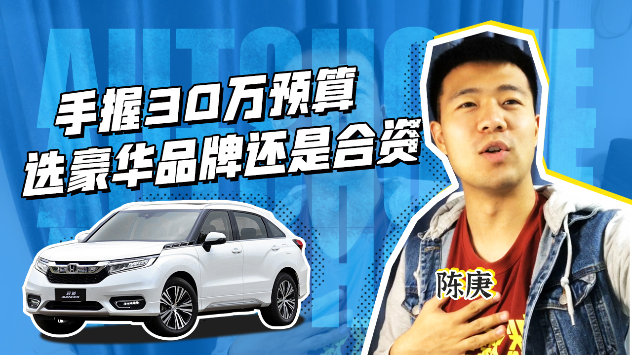 手握30万预算选豪华品牌还是合资?